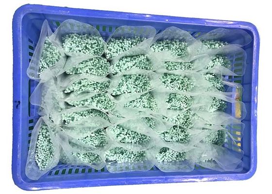 Mua REACH Màu xanh lá cây nhẹ 120 độ 2,5mm Ties cáp nylon online manufacture
